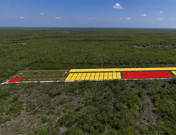 kiikna baca master broker bci portada